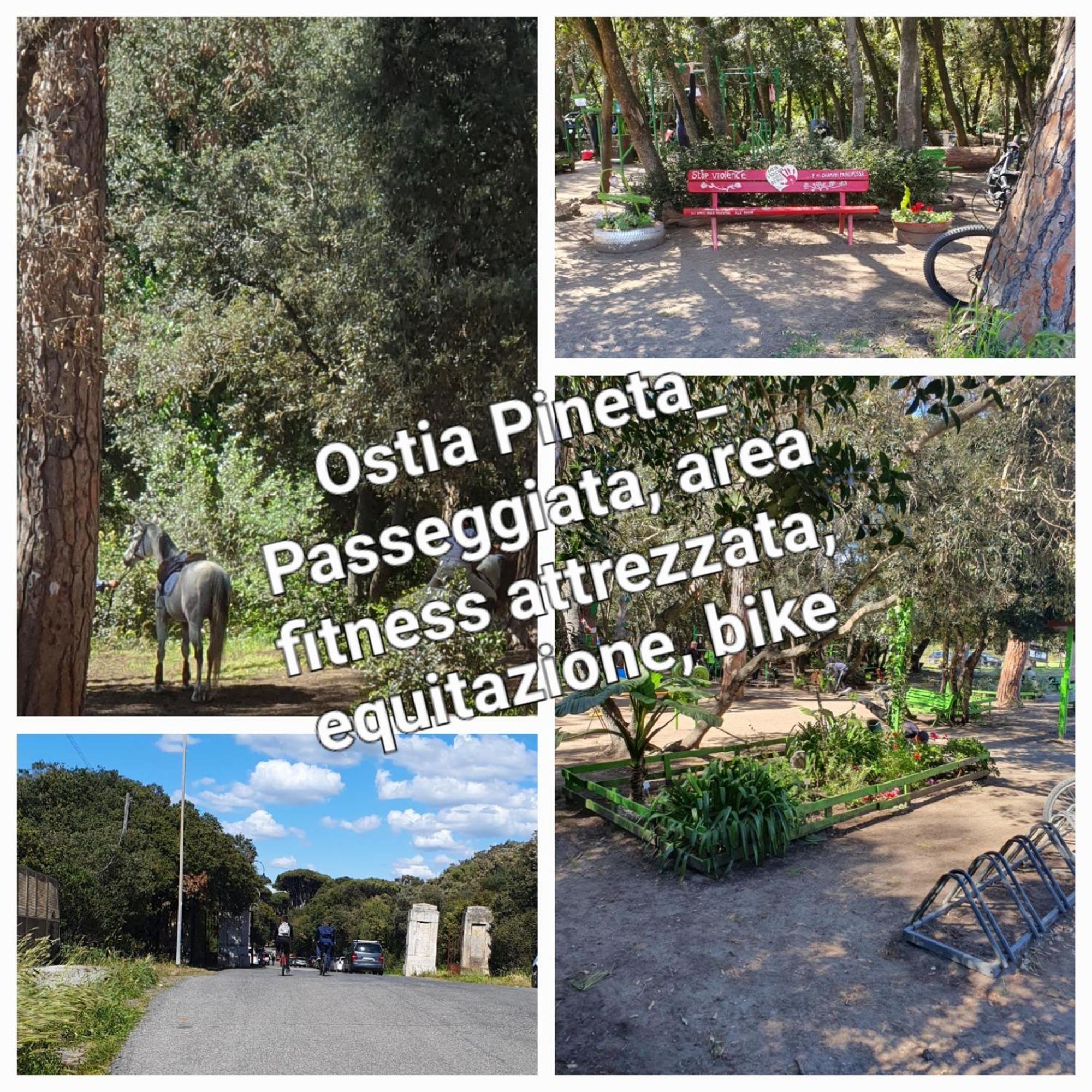 Casa Diana Ostiaアパートメント エクステリア 写真